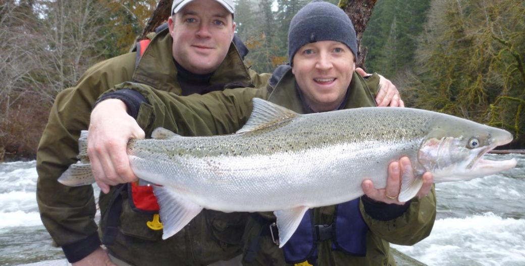 2021 Winter Steelhead Guided Fishing Trips - Mid-Season Update • Hazen's  Guide Service